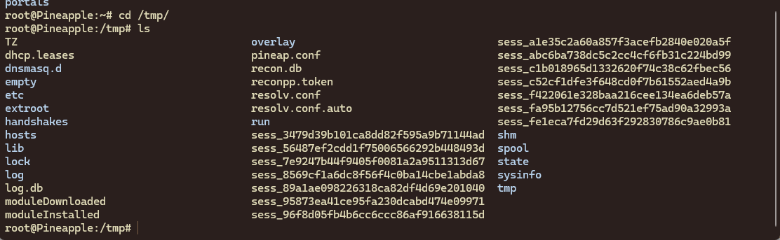 Listing /tmp on the Pineapple over SSH
